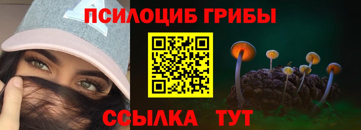 Псилоцибиновые грибы MAGIC MUSHROOMS  Галлюциногенные грибы Psilocybe  Вход с VPN  Котовск 